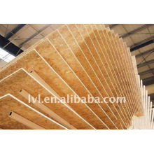 ORIENTED STRAND BOARD